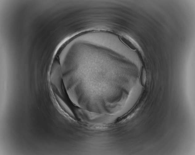 X0000083970944200703091759