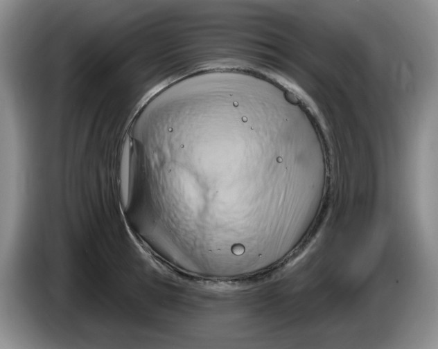 X0000083970945200703091759