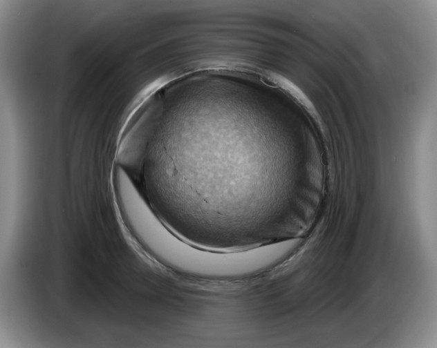 X0000083970946200703091759