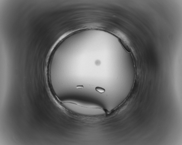 X0000083970947200703091759
