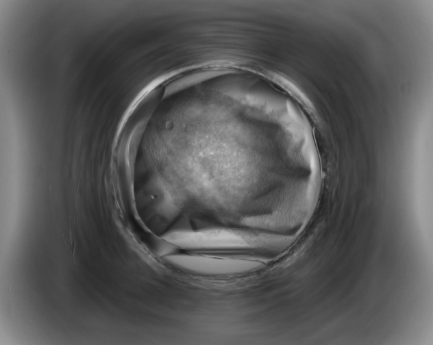 X0000083970948200703091759