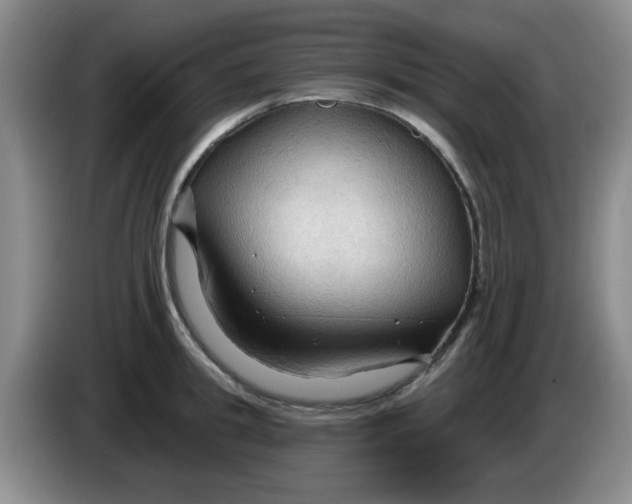 X0000083970949200703091759