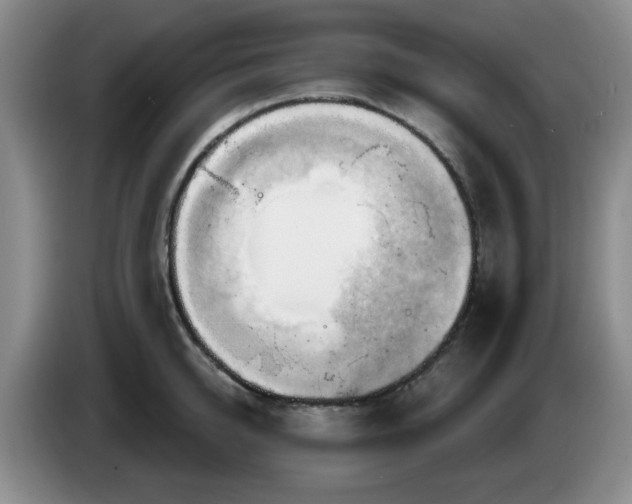 X0000083970950200703091759