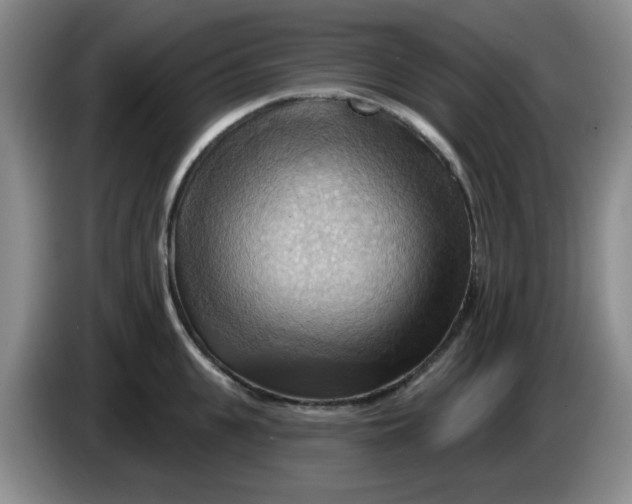 X0000083970951200703091759