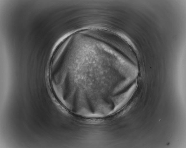 X0000083970952200703091759