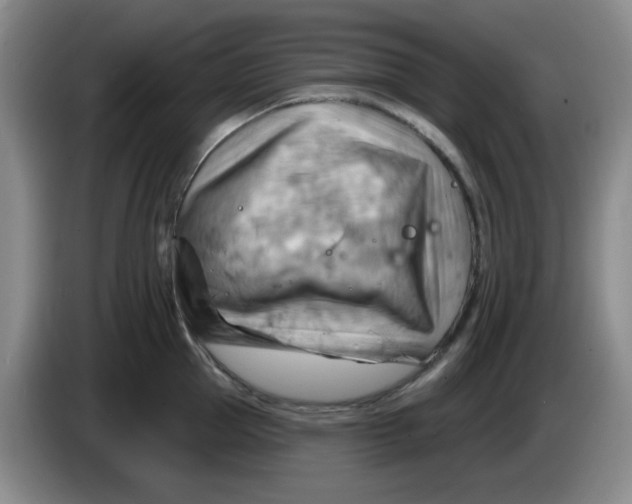 X0000083970953200703091759