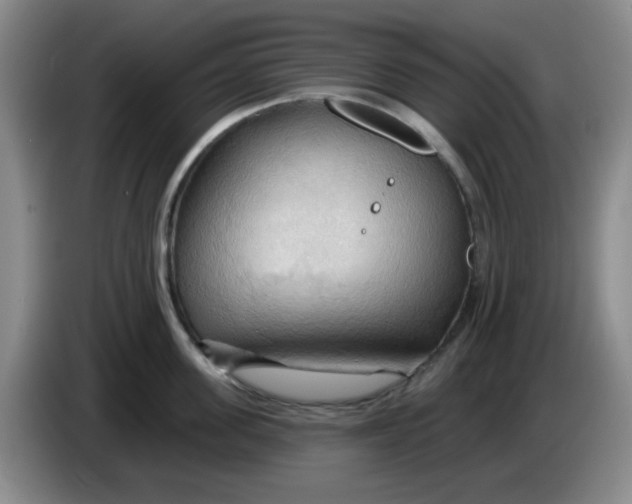 X0000083970955200703091759