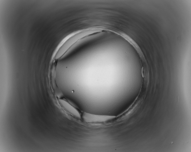 X0000083970956200703091759