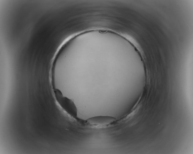X0000083970958200703091759