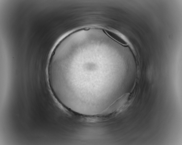 X0000083970959200703091759