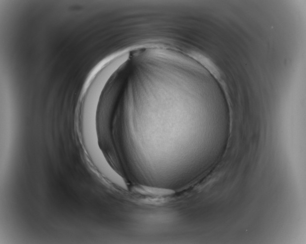X0000083970960200703091759