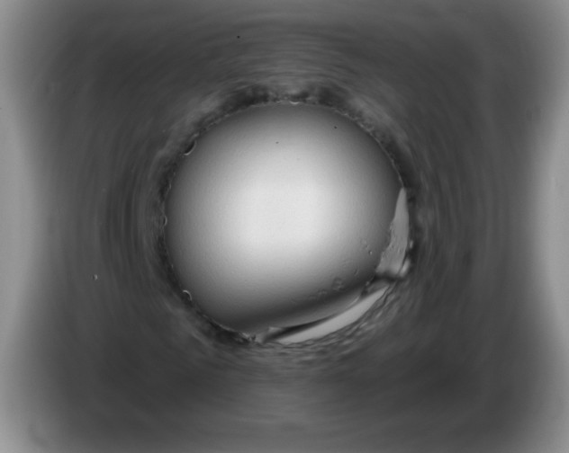 X0000083970961200703091759