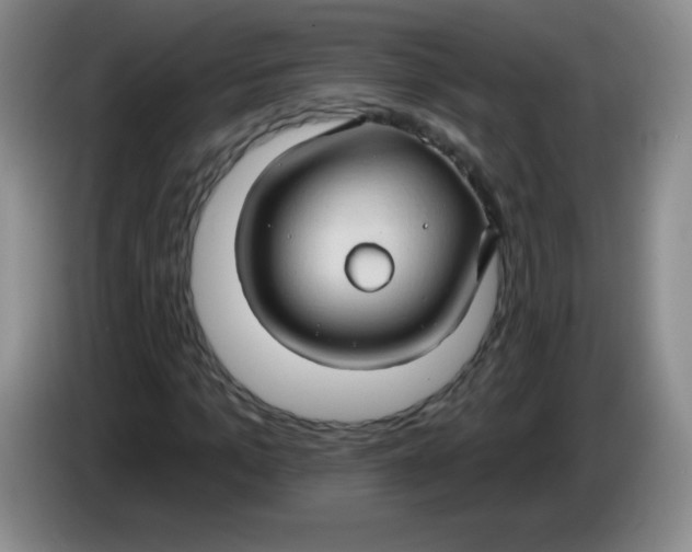 X0000083970965200703091758