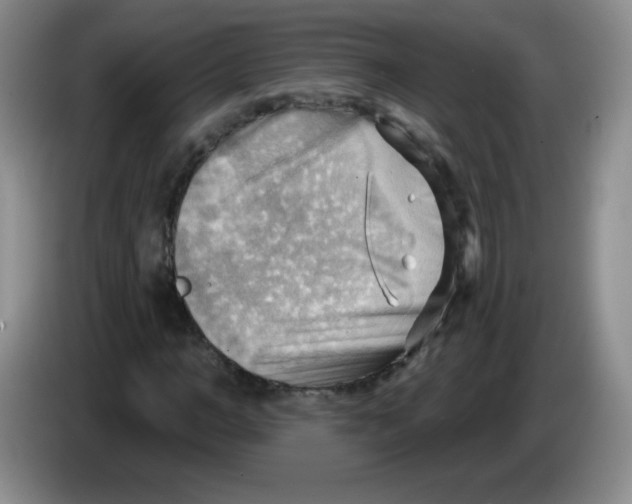 X0000083970966200703091758