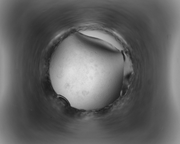 X0000083970967200703091758
