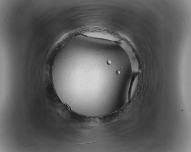 X0000083970968200703091758