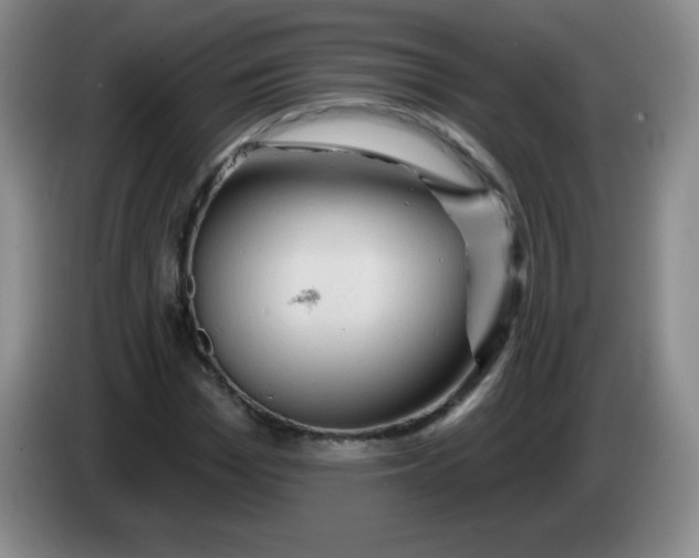 X0000083970969200703091758