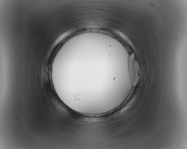 X0000083970970200703091758