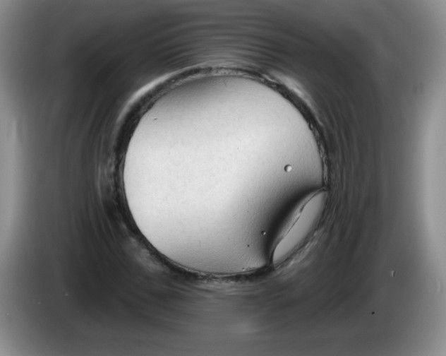 X0000083970971200703091758