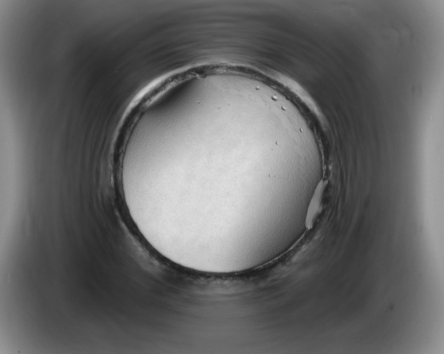 X0000083970972200703091758
