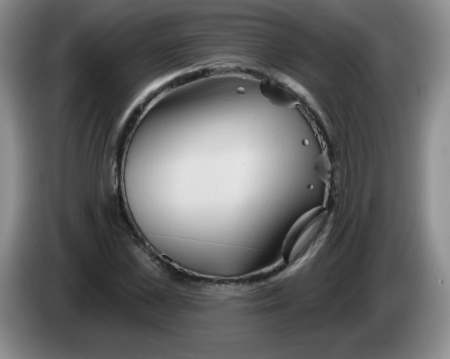 X0000083970973200703091758