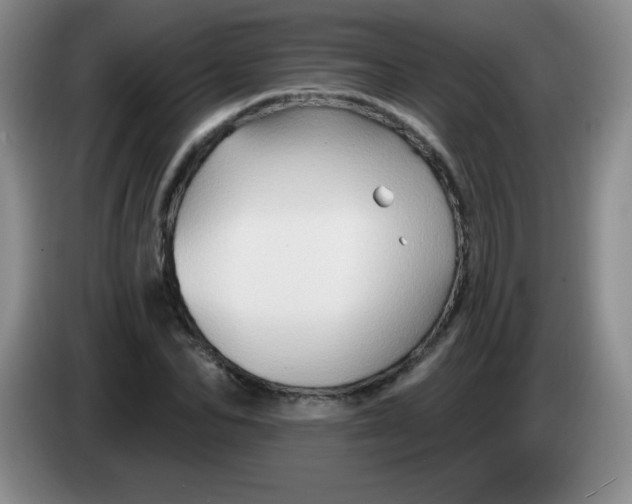 X0000083970974200703091758