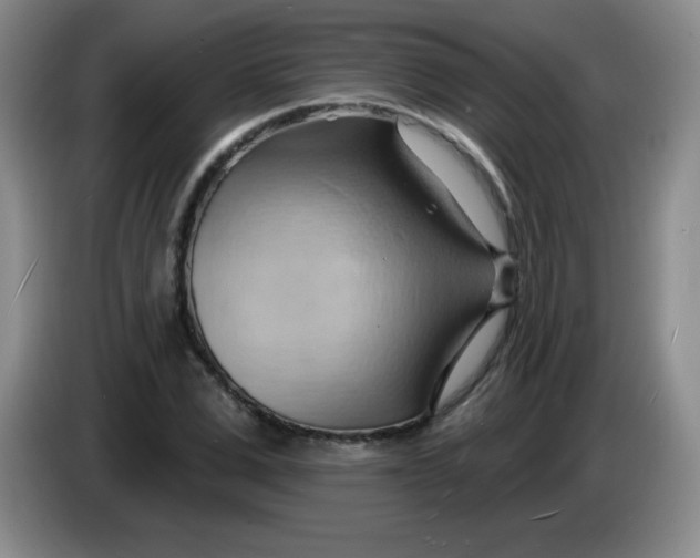 X0000083970975200703091758