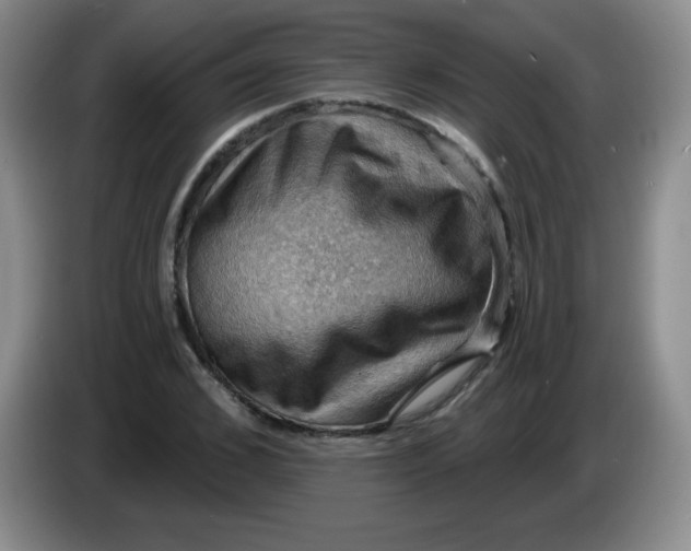 X0000083970976200703091758