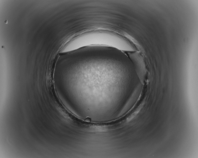 X0000083970977200703091758