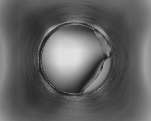 X0000083970980200703091758