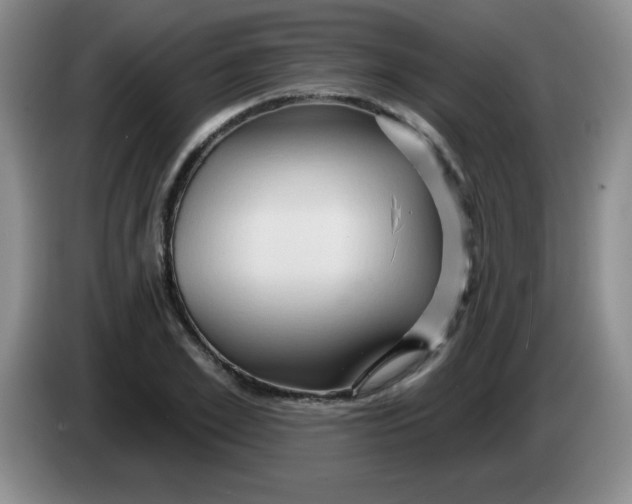 X0000083970981200703091758
