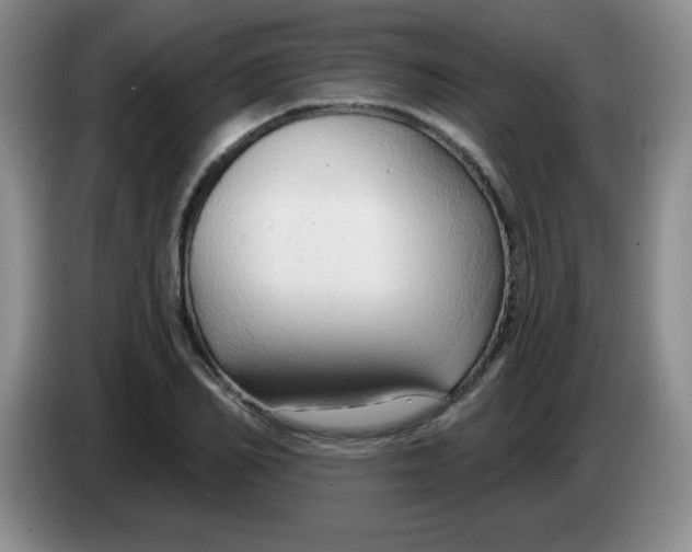 X0000083970982200703091758