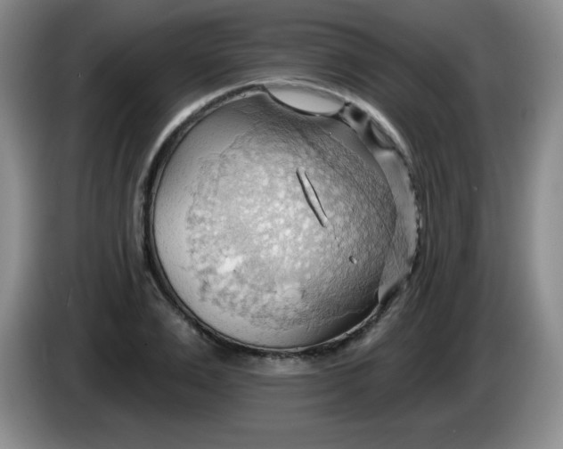 X0000083970983200703091758