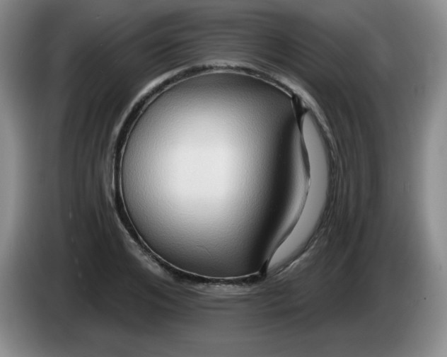 X0000083970984200703091758