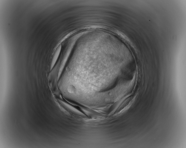 X0000083970985200703091758