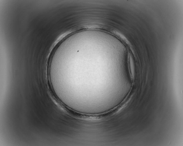 X0000083970986200703091758