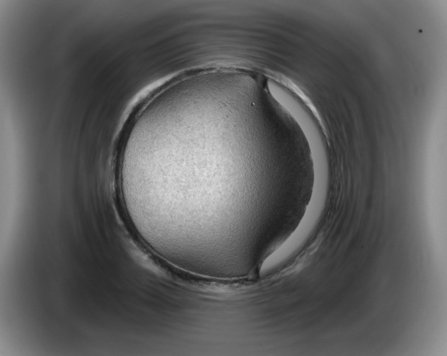 X0000083970987200703091758