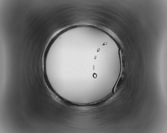 X0000083970988200703091758