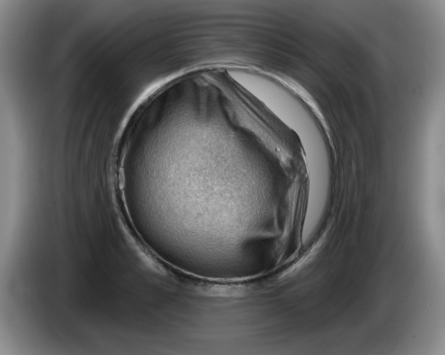 X0000083970989200703091758