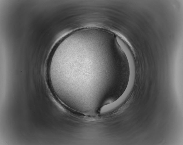 X0000083970991200703091758