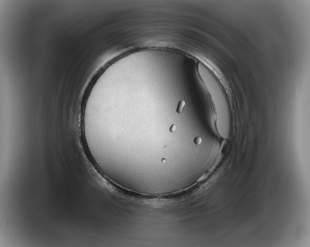 X0000083970992200703091758