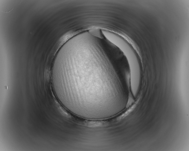 X0000083970993200703091758