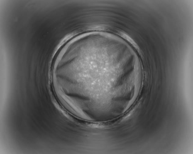 X0000083970994200703091758