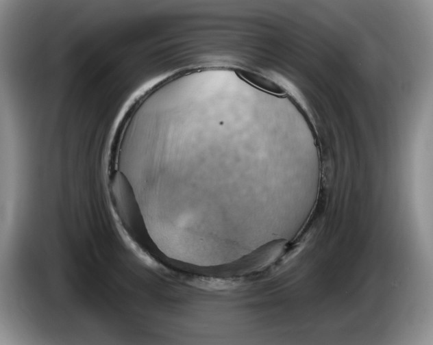 X0000083970995200703091758