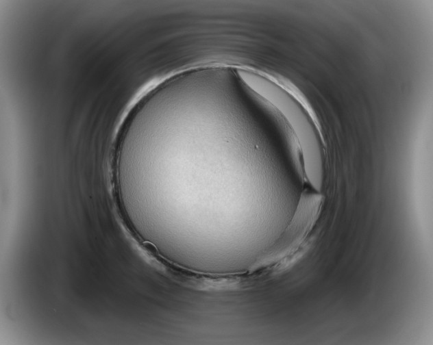 X0000083970997200703091758