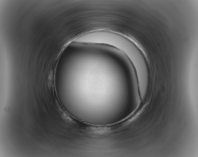 X0000083971001200703091758