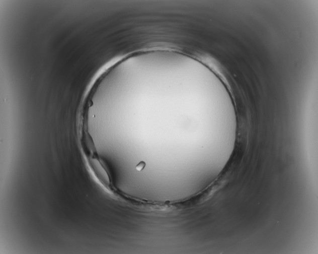 X0000083971003200703091758