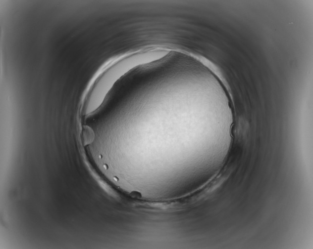 X0000083971005200703091758