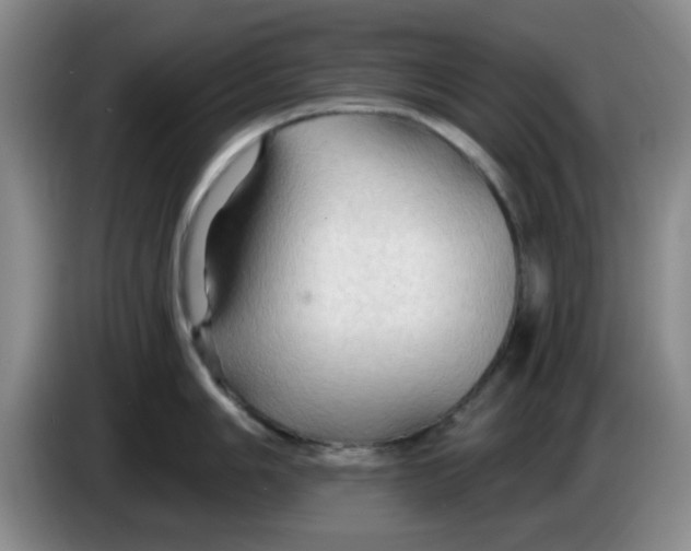 X0000083971006200703091758
