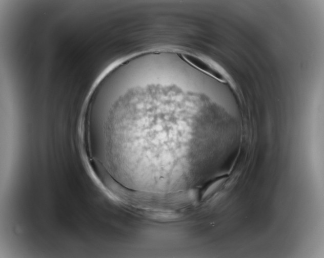 X0000083971007200703091758